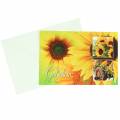 Floristik24 Voucher solsikke med kuvert 5 stk