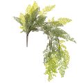 Floristik24 Kunstig bregnegren, delikat, til vase, 80 cm