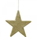 Floristik24 Julepynt stjernevedhæng gylden glitter 30cm 2stk