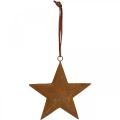 Floristik24 Julevedhæng stjerne metal stjerne rust look H13,5cm