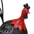 Floristik24 Hane påskedekoration metaldekoration kylling sort rød H13,5cm
