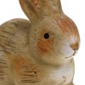 Floristik24 Keramisk kanin naturlig 7cm x 8cm 6stk