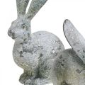 Floristik24 Dekorativ kanin, havefigur i betonlook, shabby chic, påskedekoration med sølvaccenter H21/14cm sæt med 2