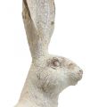 Floristik24 Dekorativ kanin siddende shabby chic forårsdekoration H25cm 2stk