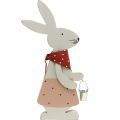Floristik24 Bunny pige, foråret dekoration, træ bunny med en spand, påske bunny