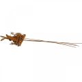Floristik24 Bunny flower plug rust dekorative plug metal påske 11cm 4stk