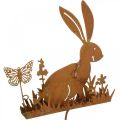 Floristik24 Bunny flower plug rust dekorative plug metal påske 11cm 4stk