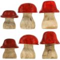 Floristik24 Efterårsdekoration deco-svampe lavet af træ Røde træsvampe H5-7cm 6 stk.