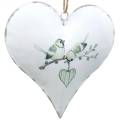 Floristik24 Dekorationsbøjlehjerte med fuglemotiv, hjertedekoration til Valentinsdag, metal vedhæng hjerteform 4stk