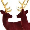 Floristik24 Deer Deco Rensdyr Bordeaux Guldkalveflokket 20 cm sæt med 2
