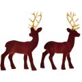Floristik24 Deer Deco Rensdyr Bordeaux Guldkalveflokket 20 cm sæt med 2