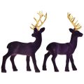 Floristik24 Deer Deco Rensdyr Violet Guld Kalveflokket 20 cm Sæt med 2