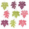Floristik24 Træblade blandes til ophæng i forskellige farver 15cm 9stk