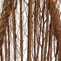 Floristik24 Trægrantræ dekoration trædekoration naturlige grene vinstokke 27,5x10x60cm