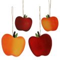 Floristik24 Krabbe æbler til at hænge rødgul 9cm - 13cm 12pcs