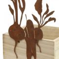 Floristik24 Plantekasse træ med rust dekoration grøntsags cachepot 17×17×12cm