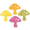 Spredte svampe, efterårsdekorationer, heldige svampe til at dekorere orange, gul, grøn, lyserød H3,5 / 4cm B4 / 3cm 72stk.