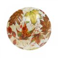 Træ svampe dekoration efterårsblade hvide, farverige svampe bord dekoration Ø10cm H15cm