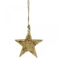 Floristik24 Stjerne at hænge, træ dekoration med guld effekt, advent 14cm × 14cm