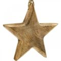 Floristik24 Dekorativ stjerne, vedhæng i træ, julepynt 14cm × 14cm