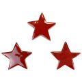 Floristik24 Træstjerner deco stjerner rød scatter dekoration glans effekt Ø5cm 12stk
