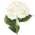 Floristik24 Kunstig hortensia med lang stilk, kunstig blomst, 60 cm