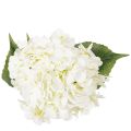 Kunstig hortensia med lang stilk, kunstig blomst, 60 cm | Floristik24.dk