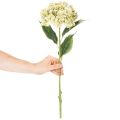 Kunstig hortensiablomst med lang stilk og blade, 60 cm | Floristik24.dk