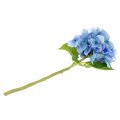Floristik24 Hortensia blå kunstig blomst 36cm