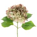 Floristik24 Kunstig hortensia dekorativ blomst med stilk, 46 cm
