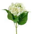 Floristik24 Hortensia 60cm hvid