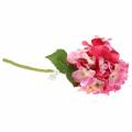 Floristik24 Kunstig hortensia pink 36 cm