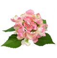Floristik24 Hortensia pink 33cm
