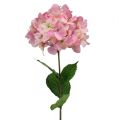 Floristik24 Hortensia pink 68 cm