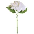 Floristik24 Hortensia kunstige hvide ægte berøringsblomster 33cm