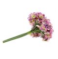 Floristik24 Hortensia bund L25cm violet