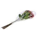 Floristik24 Hortensia knop gren 55cm lyserød 6stk