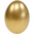 Floristik24 Kyllingeæg Guldblæste æg Påskepynt 10 stk