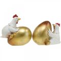 Floristik24 Dekorative kyllinger med påskeæg, påskekyllinger, gyldenæg, påskepynt H12/11cm sæt med 2 stk.