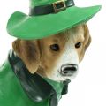 Floristik24 Beagle i hat St. Patrick&#39;s Day Hund i jakkesæt Havedekor Hund H24,5 cm