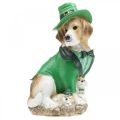 Floristik24 Beagle i hat St. Patrick&#39;s Day Hund i jakkesæt Havedekor Hund H24,5 cm