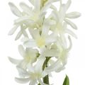 Floristik24 Kunstig hyacint med løg kunstig blomst hvid til stick 29cm