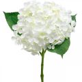 Floristik24 Hortensia kunstig hvid 53cm