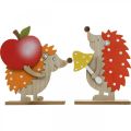 Floristik24 Efterårsfigur, pindsvin med æble og champignon, trædekoration orange / rød H24 / 23,5 cm sæt med 2
