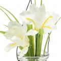Floristik24 Iris hvid i et glas til at hænge H21,5cm