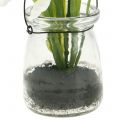 Floristik24 Iris hvid i et glas til at hænge H21,5cm