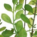 Kunstig plante i potte, 130 cm høj, grøn, dekorativ | Floristik24.dk