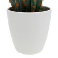 Floristik24 Kaktusser i en potte kunstig 20cm