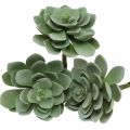 Floristik24 Kunstige sukkulenter deco kunstige planter grønne 11×8,5cm 3 stk.