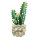Floristik24 Kaktus i potte kunstig kaktus assorteret 28cm 2stk
